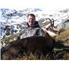 Image 5 : 5-DAY NEW ZEALAND HUNT FOR 2 HUNTERS INCLUDING THE TROPHY FEES AND TROPHY CREDIT AND AN AIRLINE TICK
