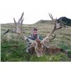 Image 8 : 5-DAY NEW ZEALAND HUNT FOR 2 HUNTERS INCLUDING THE TROPHY FEES AND TROPHY CREDIT AND AN AIRLINE TICK