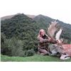 Image 9 : 5-DAY NEW ZEALAND HUNT FOR 2 HUNTERS INCLUDING THE TROPHY FEES AND TROPHY CREDIT AND AN AIRLINE TICK