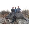 Image 5 : 4-DAY ANATOLIAN WILD BOAR HUNT FOR 2 HUNTERS OR 1 HUNTER AND 1 NON-HUNTER