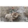 Image 8 : STATE OF MONTANA BIGHORN SHEEP LICENSE