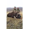 Image 2 : 7-DAY GREENLAND MUSKOX & CENTRAL BARRON GROUND CARIBOU HUNT FOR 1 HUNTER IN GREENLAND