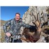 Image 2 : 4-DAYS CANTABRIAN CHAMOIS HUNT FOR 1 HUNTER
