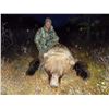 Image 2 : 7-DAY SPRING GRIZZLY BEAR HUNT FOR 1 HUNTER