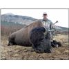 Image 3 : 8-DAY BISON HUNT IN BRITISH COLUMBIA WITH SIKANNI RIVER OUTFITTERS