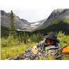 Image 4 : 8-DAY BISON HUNT IN BRITISH COLUMBIA WITH SIKANNI RIVER OUTFITTERS