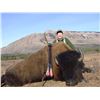 Image 5 : 8-DAY BISON HUNT IN BRITISH COLUMBIA WITH SIKANNI RIVER OUTFITTERS