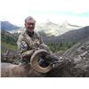 Image 2 : WYOMING ROCKY MOUNTAIN BIGHORN SHEEP LICENSE