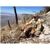 Image 8 : 10-DAY DESERT SHEEP HUNT IN CUATROCIENGEGAS, MEXICO FOR 1 HUNTER AND 2 NON-HUNTERS