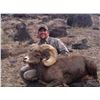 Image 8 : STATE OF NEVADA NELSON DESERT BIGHORN SHEEP TAG