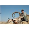 Image 2 : 6-DAY SINDH IBEX HUNT IN PAKISTAN FOR 1 HUNTER