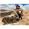 Image 2 : MONGOLIAN ALTAI ARGALI PERMIT (Trophy Fee Included)