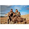 Image 8 : MONGOLIAN ALTAI ARGALI PERMIT (Trophy Fee Included)