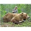 Image 2 : 10-DAY BROWN/GRIZZLY BEAR & BLACK BEAR HUNT FOR 1 HUNTER