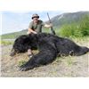 Image 8 : 10-DAY BROWN/GRIZZLY BEAR & BLACK BEAR HUNT FOR 1 HUNTER