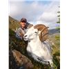 Image 8 : 12-DAY DALL’S SHEEP/WOLF/WOLVERINE HUNT IN THE NORTHWEST TERRITORIES FOR 1 HUNTER & 1 NON-HUNTER