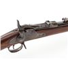 Image 1 : U.S. Model 1888 Trapdoor Rifle, by Springfield