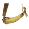 Image 1 : Antque Powder Horn