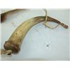 Image 2 : Antque Powder Horn