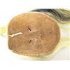 Image 7 : Onondega Mask