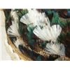Image 5 : Pomo Feather Basket