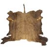 Image 1 : Tanned Buffalo Hide