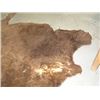 Image 3 : Tanned Buffalo Hide