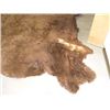 Image 5 : Tanned Buffalo Hide