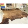 Image 9 : Tanned Buffalo Hide