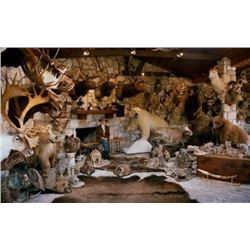 Trophy Cleaning and Repair