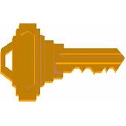 KEY ITEM #2 of 5 – Three Boxes of Bullets