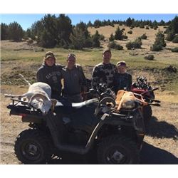 Dick Gates Memorial Youth, Guided Non-Trophy Sheep Hunt