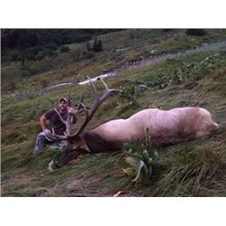Governor’s Westside Elk Tag