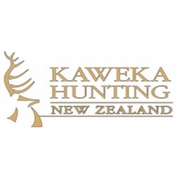 Silver Medal Stag for One Hunter