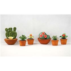 Six Clay Potted Plants