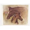 Image 1 : Limited Edition Abeita Signed & Numbered Print