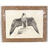 Image 1 : Peregrine Falcon Signed & Numbered Print, Katona