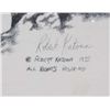 Image 3 : Peregrine Falcon Signed & Numbered Print, Katona
