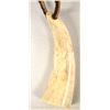 Image 2 : Bone Tooth Necklace on Leather
