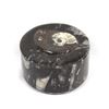 Image 1 : Orthoceras Fossil Lidded Trinket Box