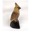 Image 1 : Taiwanese Carved Water Buffalo Horn Cardinal Bird