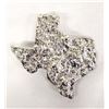 Image 1 : Texas Lone Star State Belt Buckle