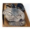 Image 3 : Prehistoric Partial Bowl and Pottery Sherds