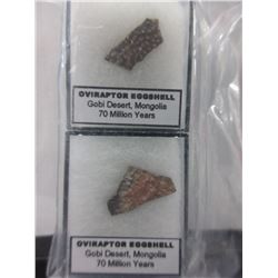 2 x 70 Million Year Old Dinosaur Eggshells