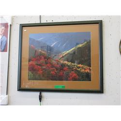 Photographic print of a mountain in autumn