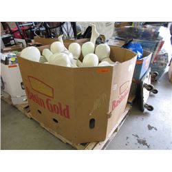 Skid of mannequin torso forms - used