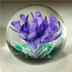 Caithness 1997 "Coral Garden" paperweight