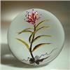 Image 1 : Chris Buzzini 1996 Alpine Paintbrush weight 
