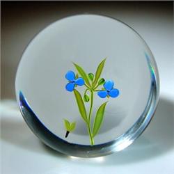 Paul Stankard spiderwort paperweight 