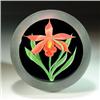 Image 1 : Correia Art Glass 1984 red orchid paperweight